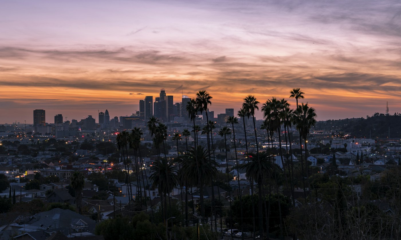 Warm sunset light over hills and palms